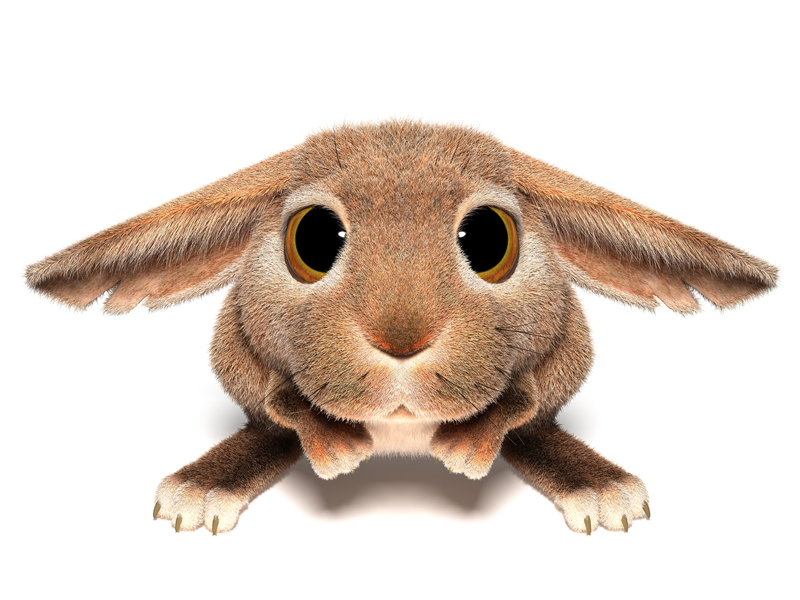 3D Cartoon furry little Easter Bunny looks sad scared eyes
